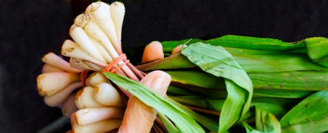 DSC_0400 ramps lkh adj blog