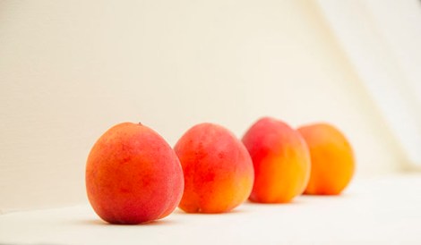 110_0850 LS Apricot cherry pistachio tart