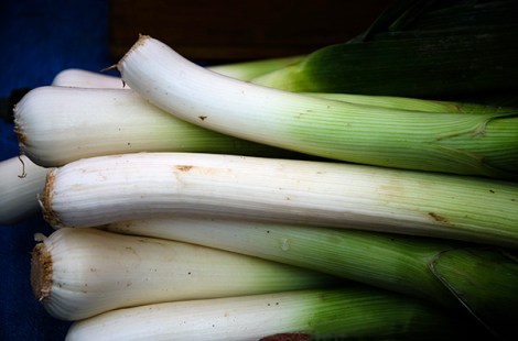Leeks New Morning Farm