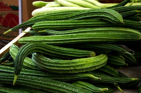 squash next step produce