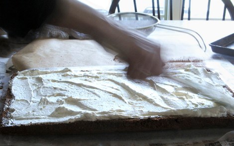 Chocolate Log Lee and Lou Cook