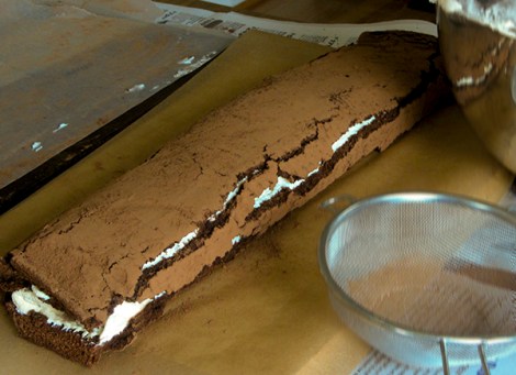 Chocolate Log Lee and Lou Cook