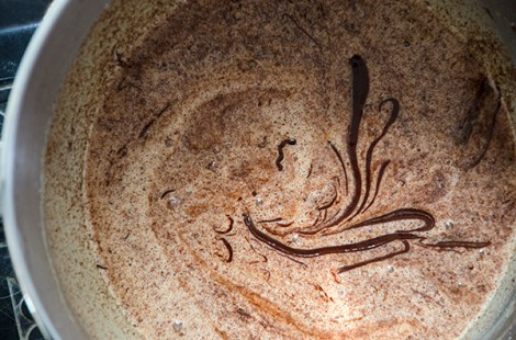 Lee's Birthday Mocha Cookies