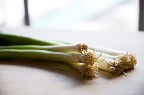 Scallions for Arancini