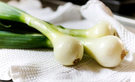 Spring Onions