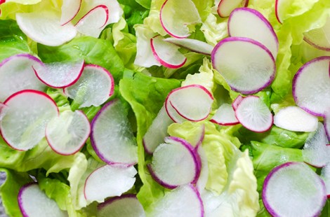 Radish and Bibb Lettuce Salad