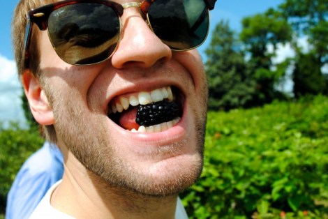 Blackberry picking quality control.