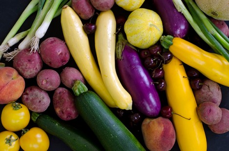 Summer Vegetable Stew