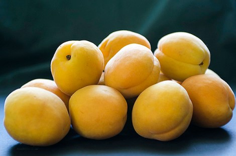 Apricot Jan