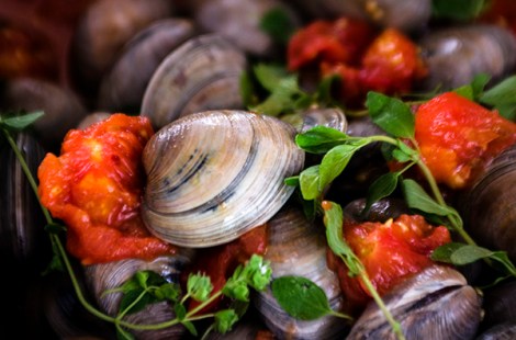 Pasta with fresh tomato sauce, basil and clams