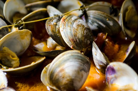 Pasta with fresh tomato sauce, basil and clams