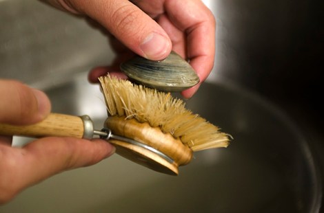 Pasta with fresh tomato sauce, basil and clams