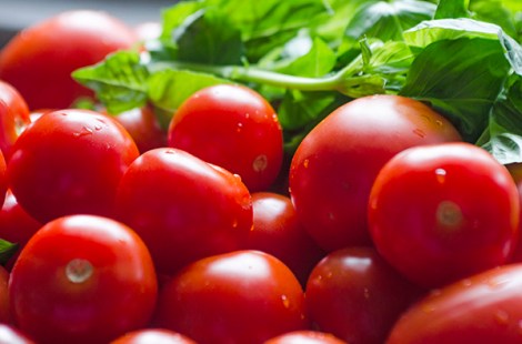Pasta with fresh tomato sauce, basil and clams
