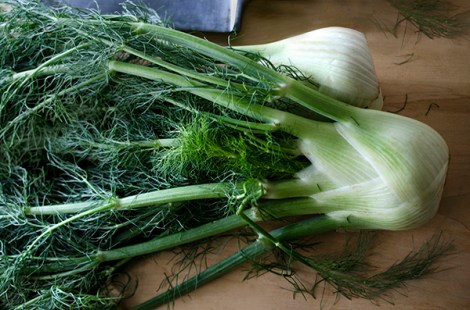 Crostini with Fennel and Sopressata