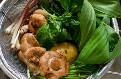 DSC8636-washed-lsh-blog