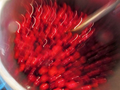 Cranberry Sauce with Tequila and Grapefruit