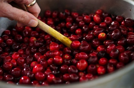 Cranberry Sauce with Tequila and Grapefruit