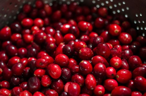 Cranberry Sauce with Tequila and Grapefruit