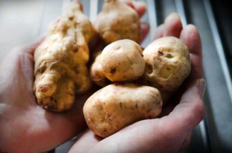 Pot Roast braised in beer