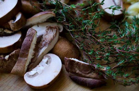 Wild Mushrooms with Polenta