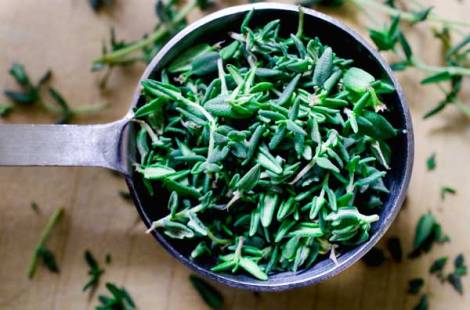 Potato Gratin withi Fennel and Spring Onions