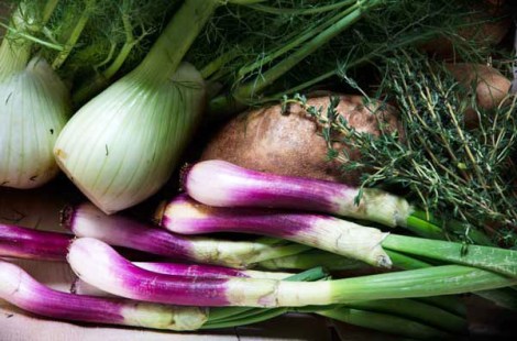 Potato Gratin withi Fennel and Spring Onions