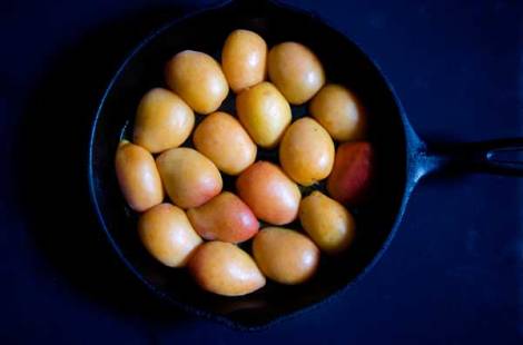 Apricot Tartin with Rosemary