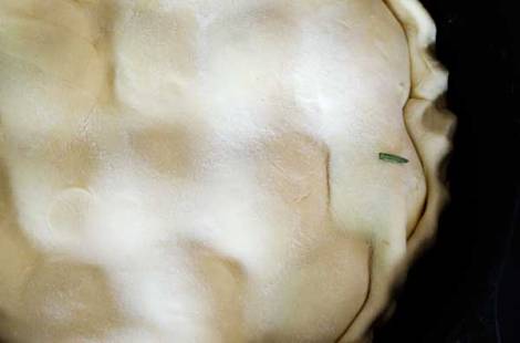 Apricot Tartin with Rosemary