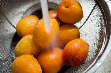 Apricot Tartin with Rosemary