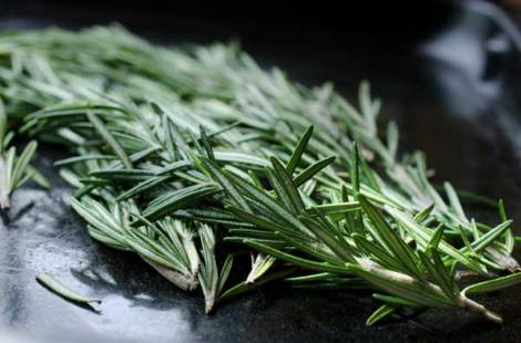 Apricot Tartin with Rosemary