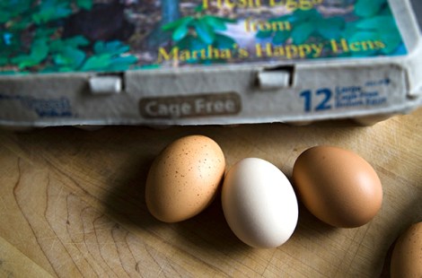 Saffron Pasta with Shrimp