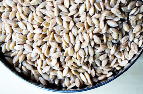 butternut_squash_7263