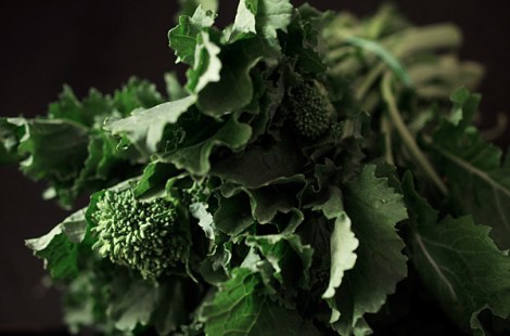 Broccoli Rabe