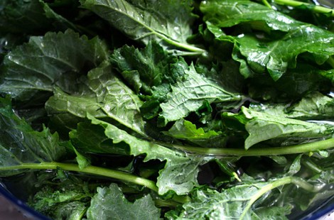 Broccoli Rabe