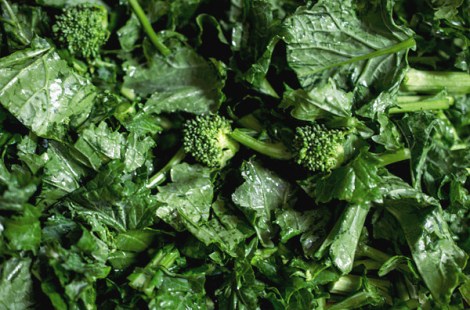 Broccoli Rabe