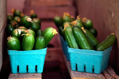 Labneh —Spring Breakfast