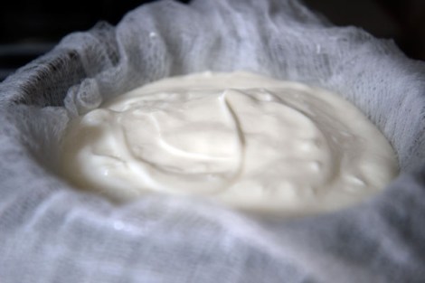 Labneh —Spring Breakfast