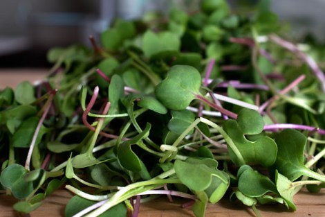 Labneh —Spring Breakfast